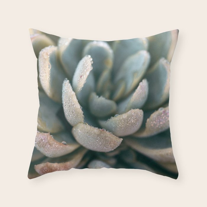succulent throw pillow