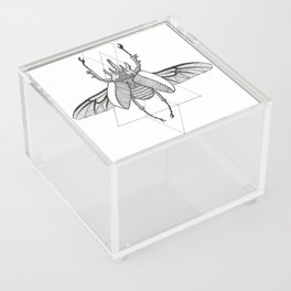 Stag Beetle Acrylic Box