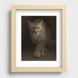 Cougar - Emergence Recessed Framed Print
