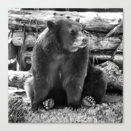 Bear Canvas Print