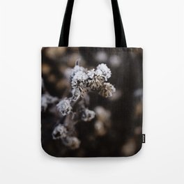 Detail of a frozen thistle in winter Tote Bag