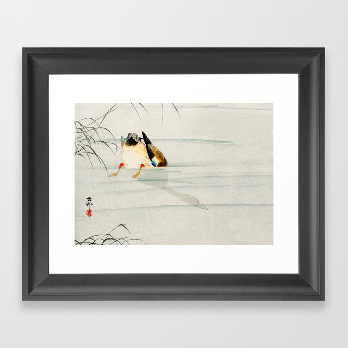 Mallard Duck Diving under water - Vintage Japanese Woodblock Print Art Framed Art Print
