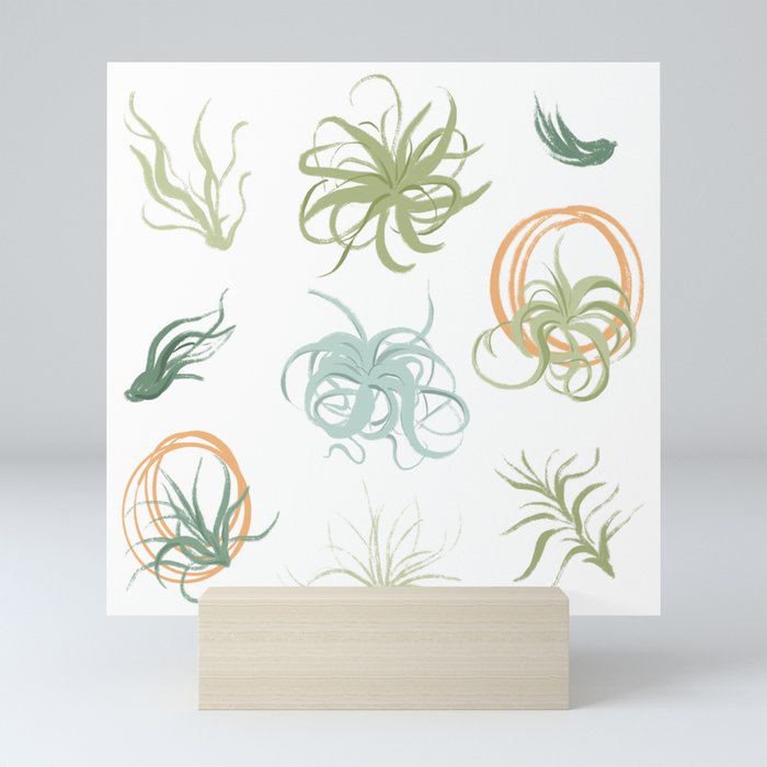 Air Plants Mini Art Print