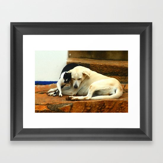 Like cats and dogs Framed Art Print