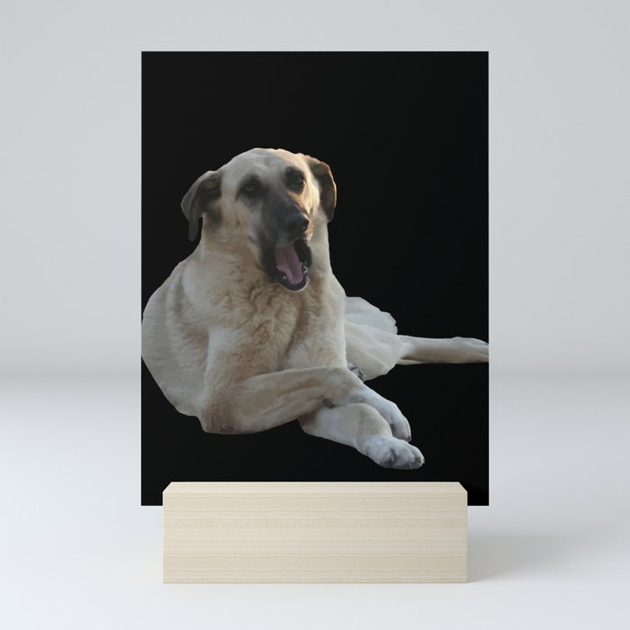 Kangal Dog Yawning Vector Cut Out Mini Art Print