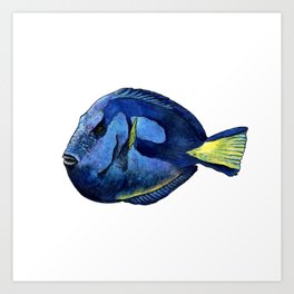 BLUE TANG Art Print | Sea, Clownfish, Keepswimming, Justkeepswimming, Beachhouse, Surgeonfish, Forgetful, Fish, Memory, Blue 