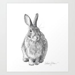 bunny hunny Art Print