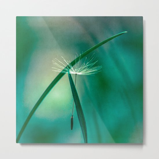 hangin' Metal Print
