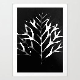 Grevillea Leaf Photogram Art Print