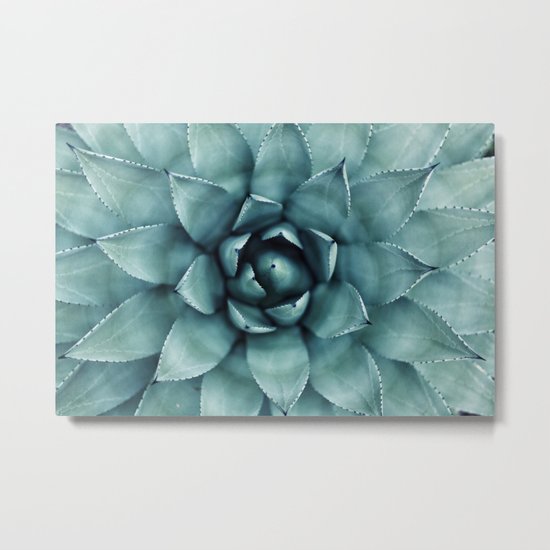 Aloe Green Metal Print
