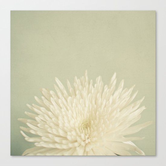 Pale Beauty Canvas Print