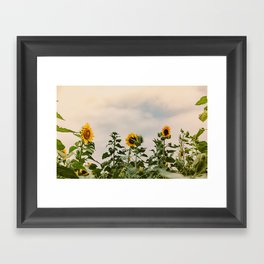 Farmhouse Sunflowers Framed Art Print