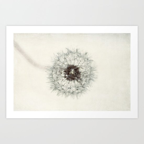 dandelion Art Print