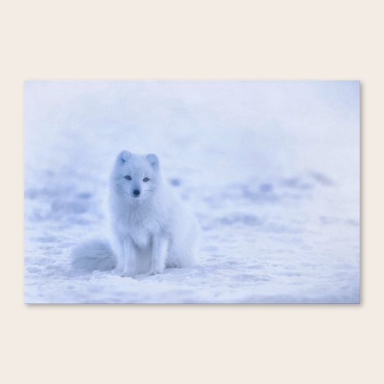 Iceland Canvas Print