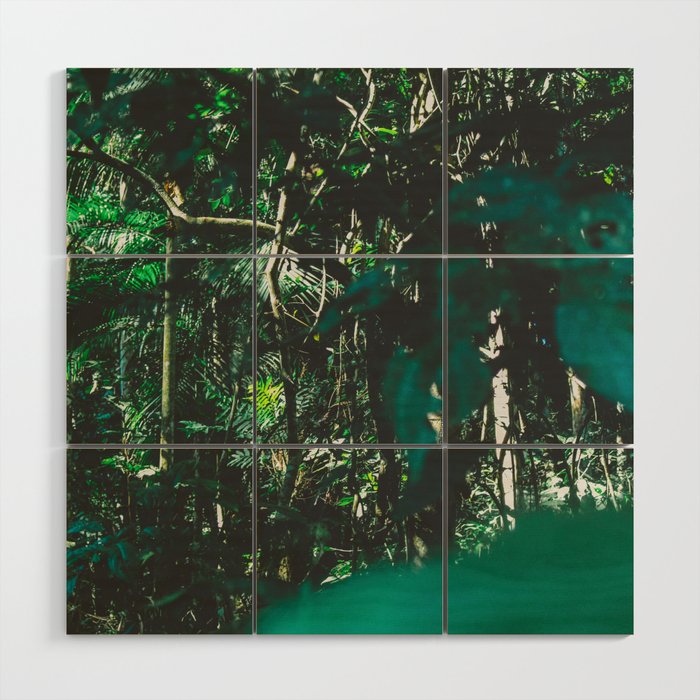 Brazil Photography - Rain Forest With Wet Green Leaves Wood Wall Art