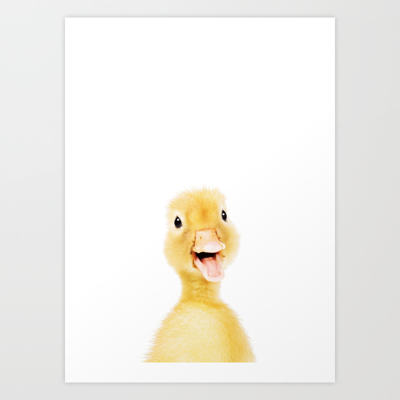 Duckling Art Print Or Card Dealerdaihatsulampung Watercolor Art Collectibles