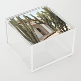 Mexico Photography - Cactuses Surrounding A Small House Acrylic Box