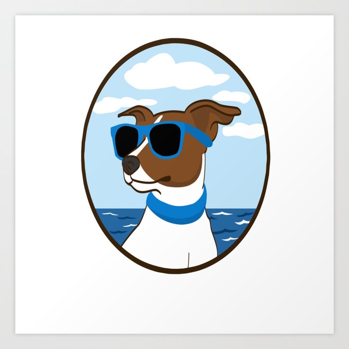 my dog barks at everything