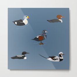 Ducks and a Loon Metal Print | Ducks, Animal, Digital, Birds, Vector, Graphicdesign, Nature, Illustration 