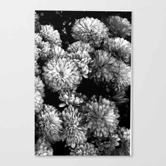 white gold Canvas Print