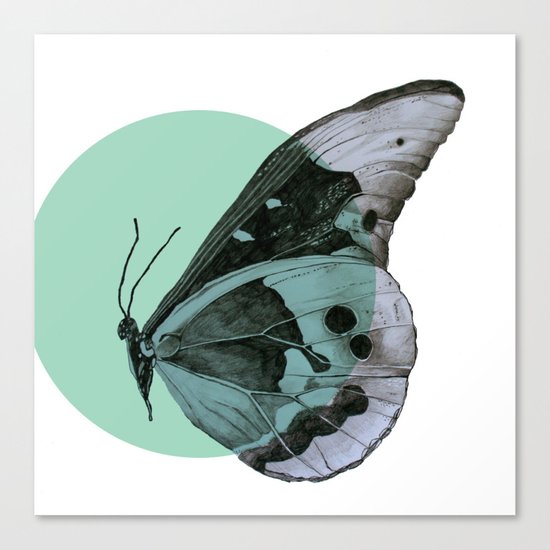 butterfly Canvas Print