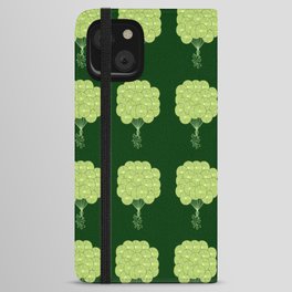 Green Lime Citrus Balloons iPhone Wallet Case