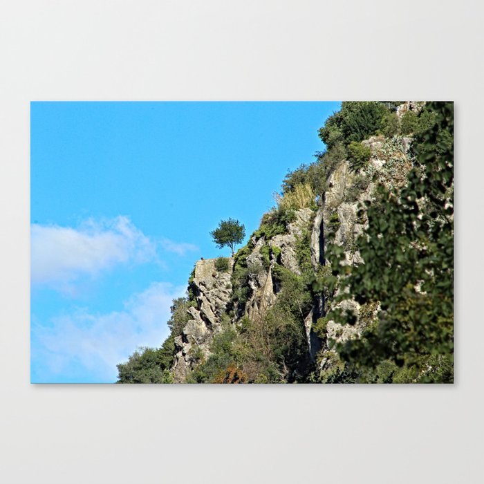 Little Tree on the Slope of the Hill Canvas Print