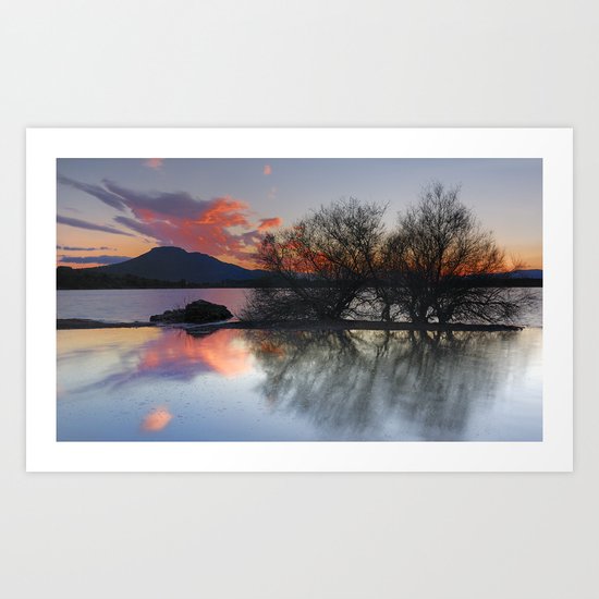 Trees in the water at the red sunset Art Print