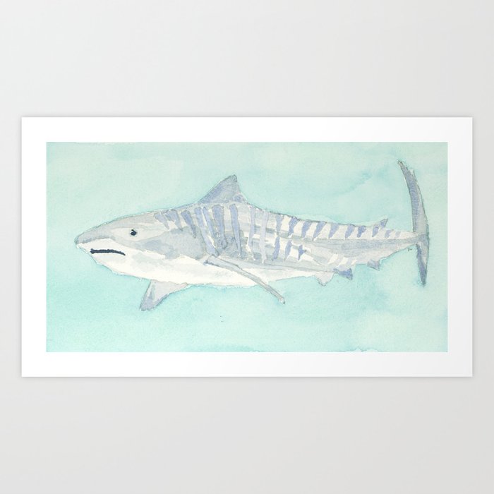 tiger shark Art Print