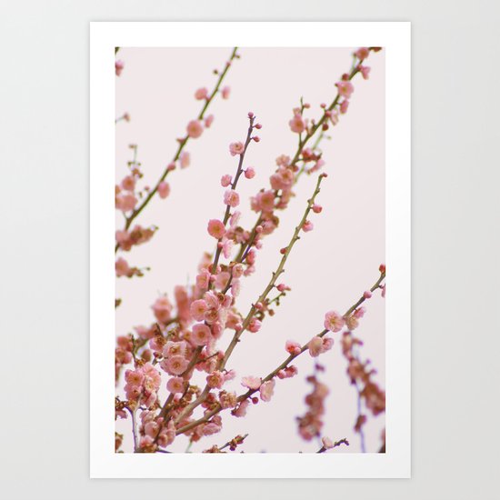 pink skies and apricots Art Print