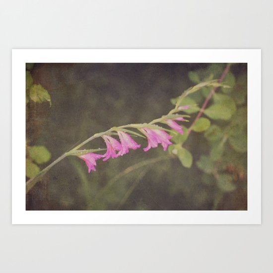 morning dew Art Print