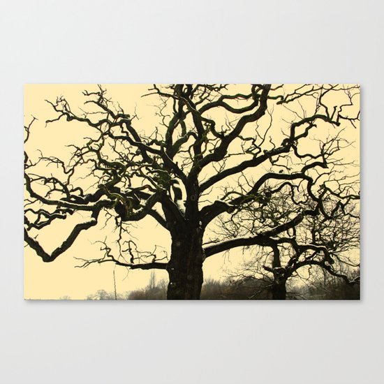 Snowy tree Canvas Print