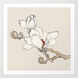 Magnolia by Kōno Bairei Art Print
