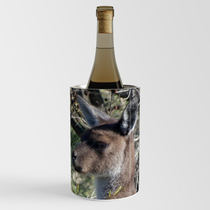 Kangaroo 3 Wine Chiller