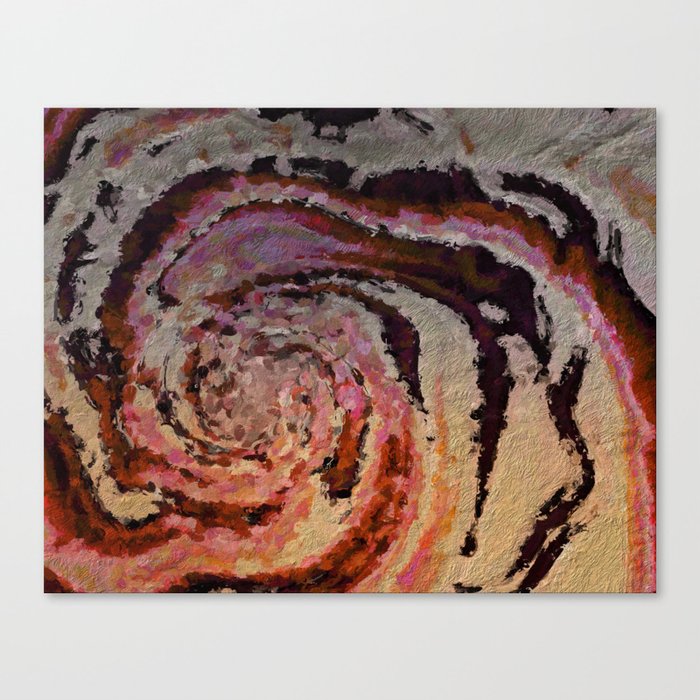 Eye of the Storm  Canvas Print