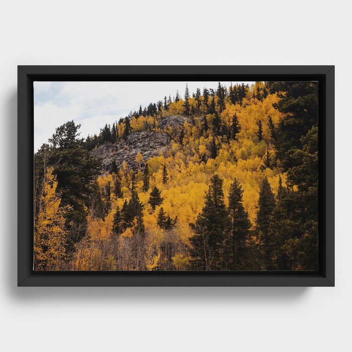 Framed Canvas