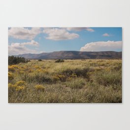 West Texas Landscape Canvas Print