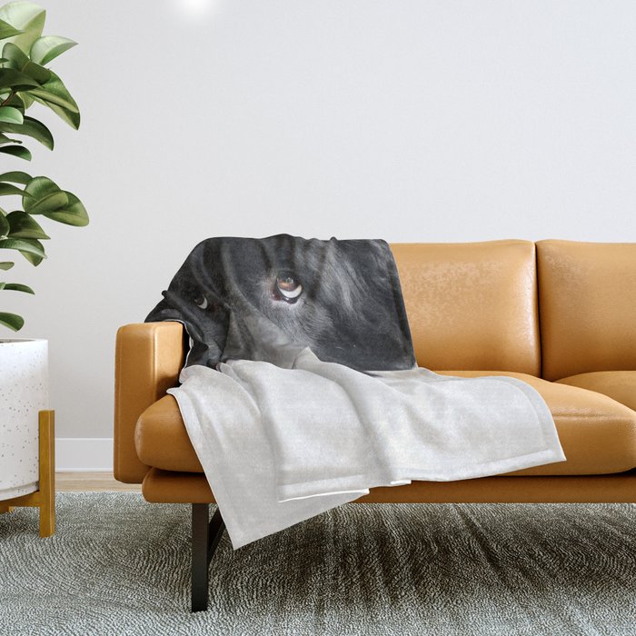 Rug Dog Throw Blanket