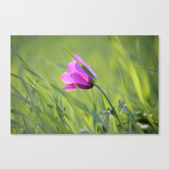 Purity of Heart Canvas Print