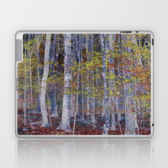 You Hiked while I Stood Still Laptop & iPad Skin