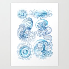 Jellyfish - Ocean Art Art Print