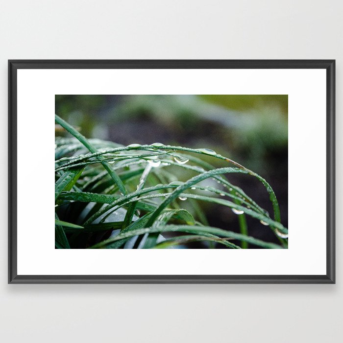 Waterty Grass Framed Art Print