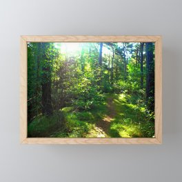 Sunshine Forest Framed Mini Art Print