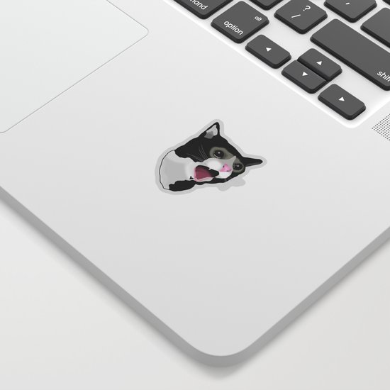 Sticker De Genius Bheezer Sur Crying Seal Meme Sticker Id 5935