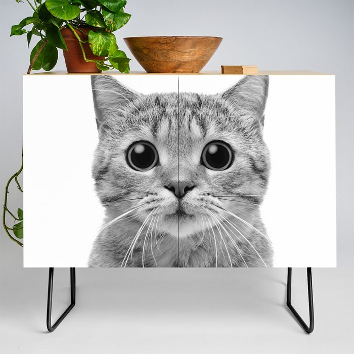 Cute Kitten Portrait - Credenza