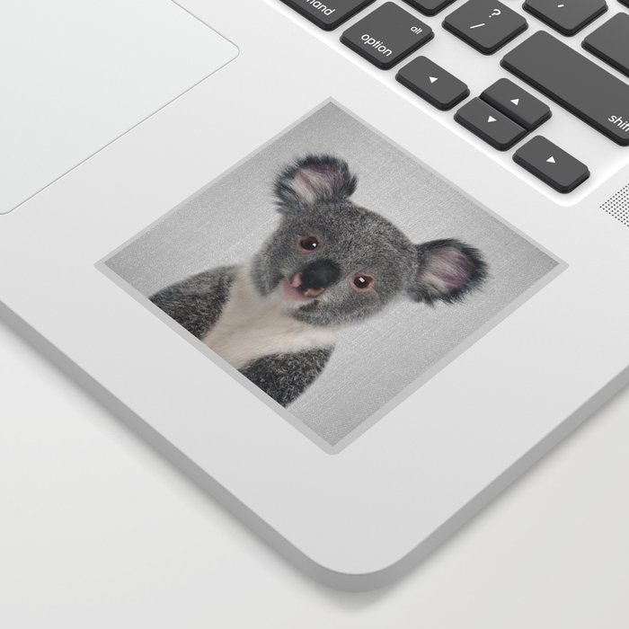 Baby Koala - Colorful Sticker