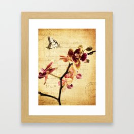 Orchid Flower Butterfly Modern French Country Cottage Art A183 Framed Art Print