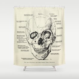 Vintage Anatomy Skull  Shower Curtain