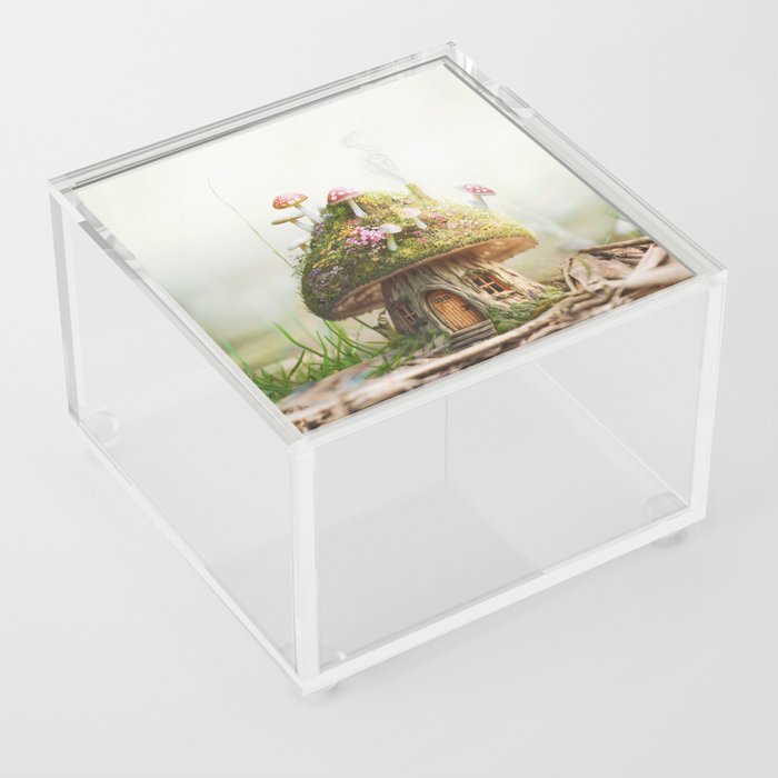 Mushroom House Acrylic Box