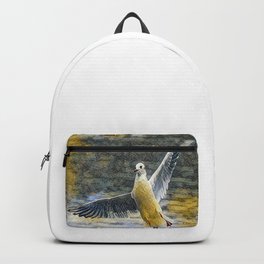 A seagull with open wings - artistic illustration design Backpack | Wings, Seagull, Gulls, Wing, Seagulllove, Gulllove, Gull, Gulllover, Curated, Birdslover 